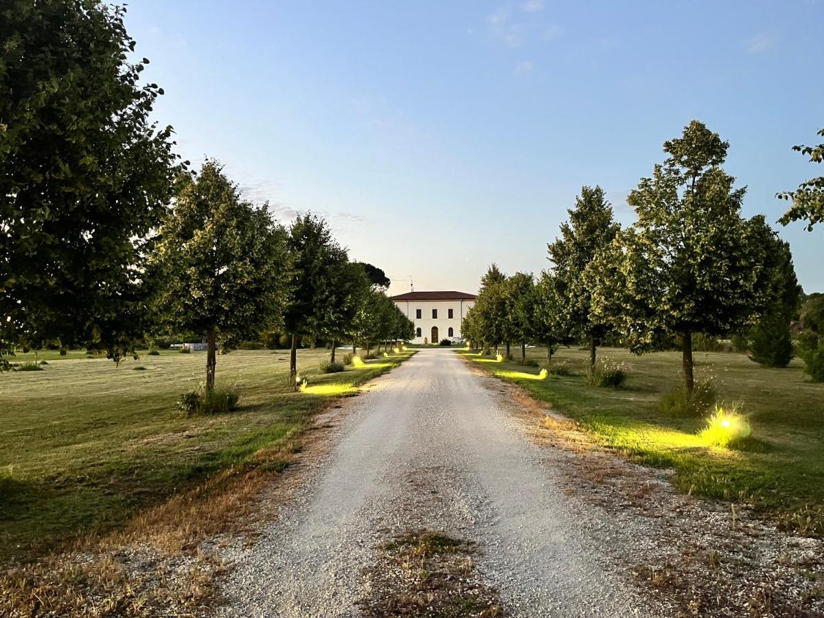 Villa Archi Faenza Exterior foto