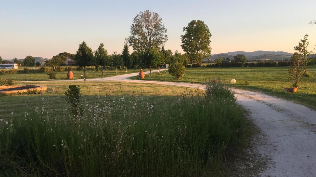 Villa Archi Faenza Exterior foto